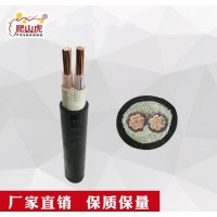 爬山虎牌YJV 2等芯雙絞線無(wú)氧銅花線燈頭線家用電線