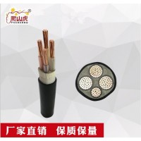 爬山虎牌YJV3+1芯雙絞線無氧銅花線燈頭線家用電線