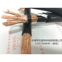 電子計(jì)算機(jī)用控制電纜DJVPVP 多芯 屏蔽 鎧裝